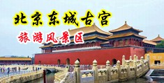 逼逼插鸡巴中国北京-东城古宫旅游风景区
